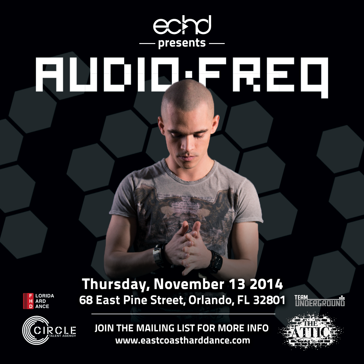 Front of ECHD presents Audiofreq flyer.