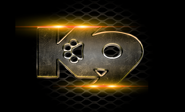 K9 3D logo.