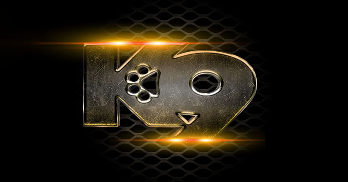 K9 logo image